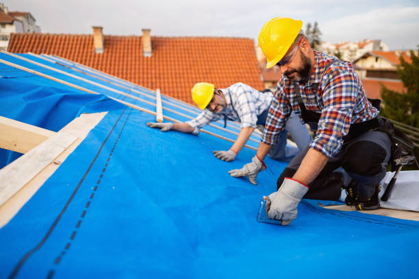 Best Metal Roofing Contractor  in Chinchilla, PA