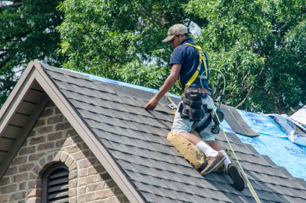 Best Flat Roof Repair Services  in Chinchilla, PA
